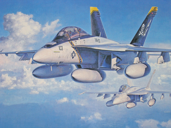 Hasegawa F/A-18F Super Hornet 1:48 - build review - Scale