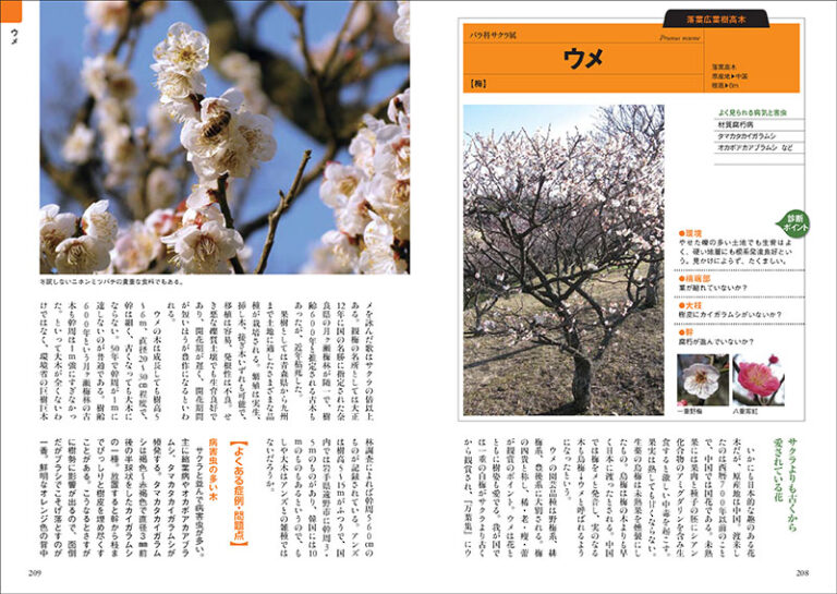 増補改訂 樹木医が教える 緑化樹木事典 ハンディ版 | 株式会社誠文堂新光社