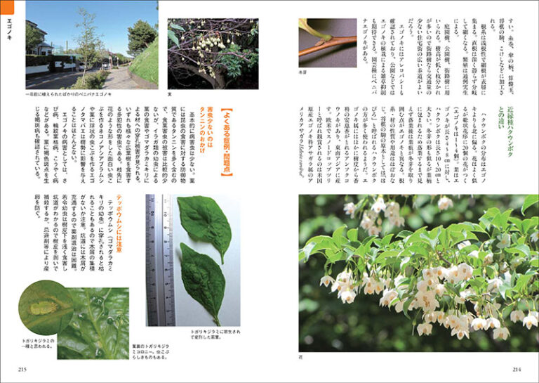 増補改訂 樹木医が教える 緑化樹木事典 ハンディ版 | 株式会社誠文堂新光社