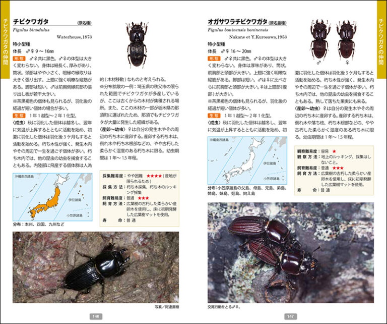 日本のクワガタムシ・カブトムシ観察図鑑 | 株式会社誠文堂新光社
