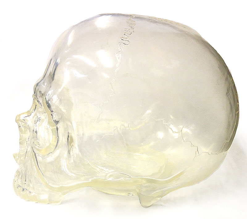 1/1 SKULL HEAD SECRETBASE CLEAR - SECRET BASE ONLINE STORE