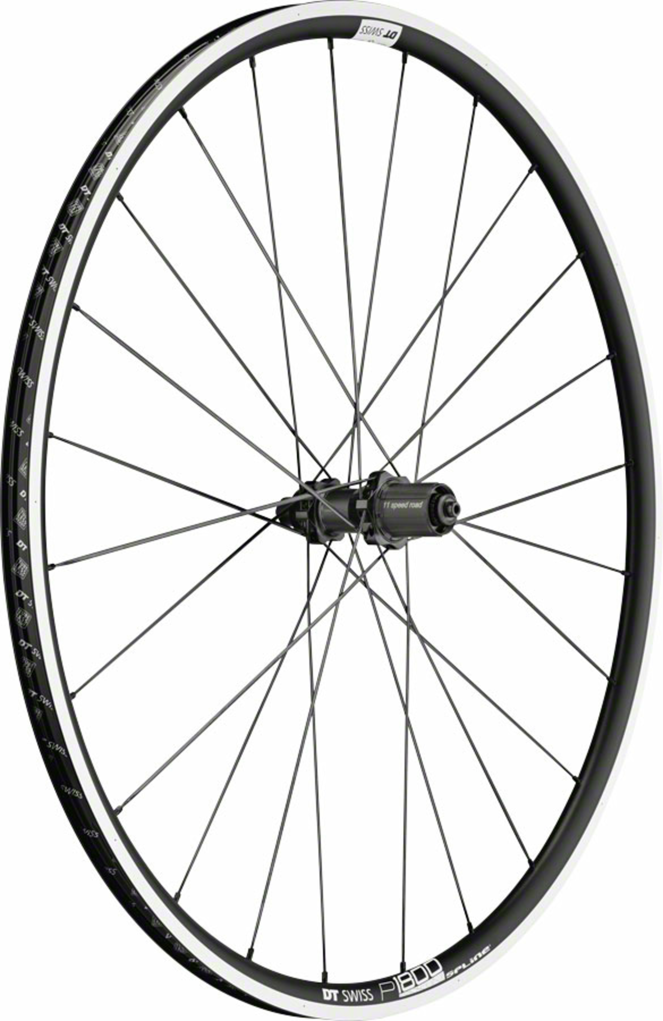 DT Swiss P1800 Spline Rear Wheel - Montgomery Cyclery