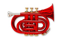 ミニ管楽器大集合♪♪ ポケットホルン・ポケットトランペット｜島村