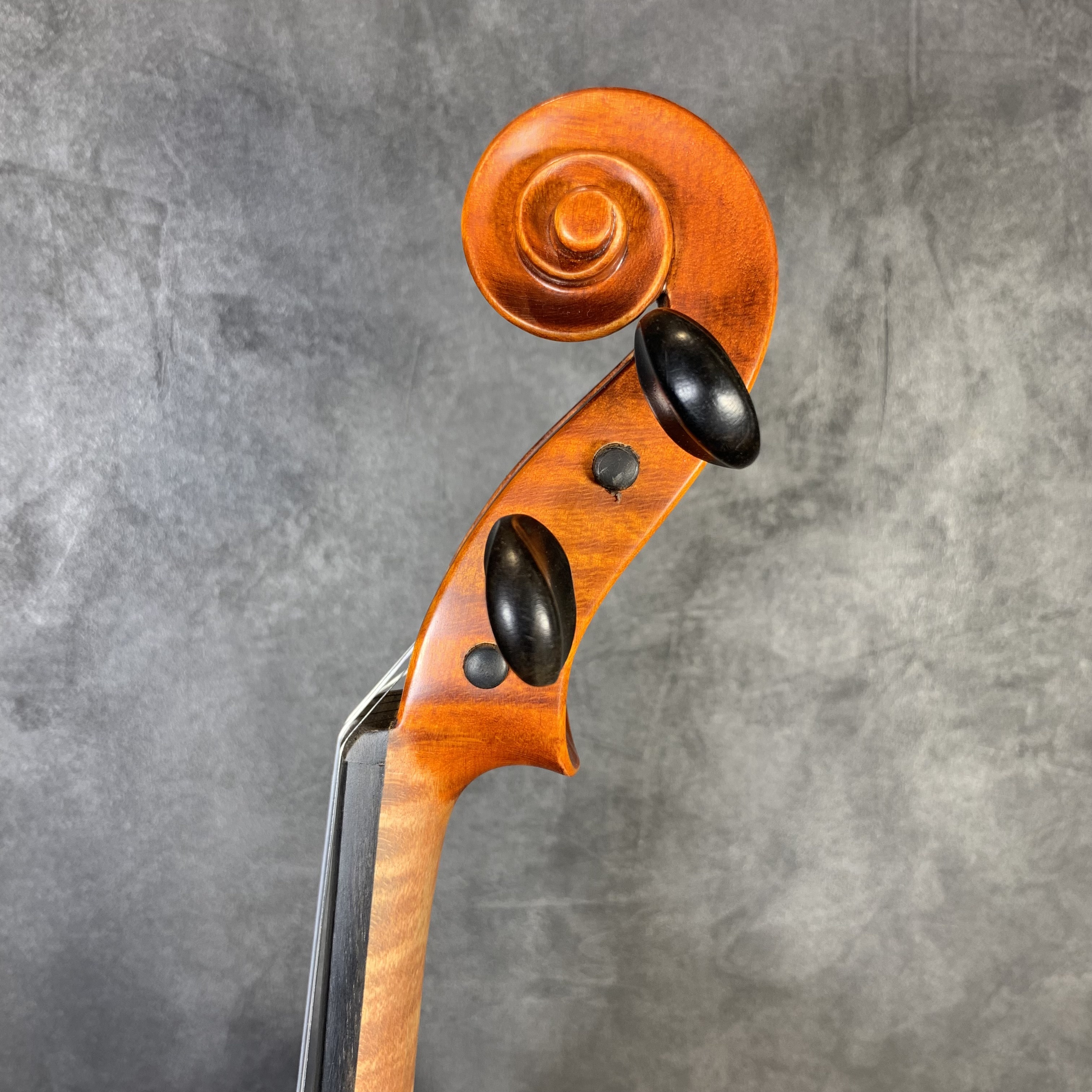 中古分数ヴァイオリン紹介】GLIGA(グリガ) 3/4サイズ｜島村楽器 岩田屋