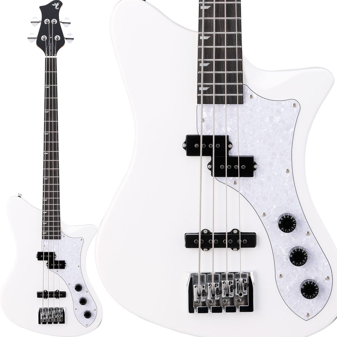 最初の一本にオススメ】Ryogaのエレキベースラインナップをご紹介