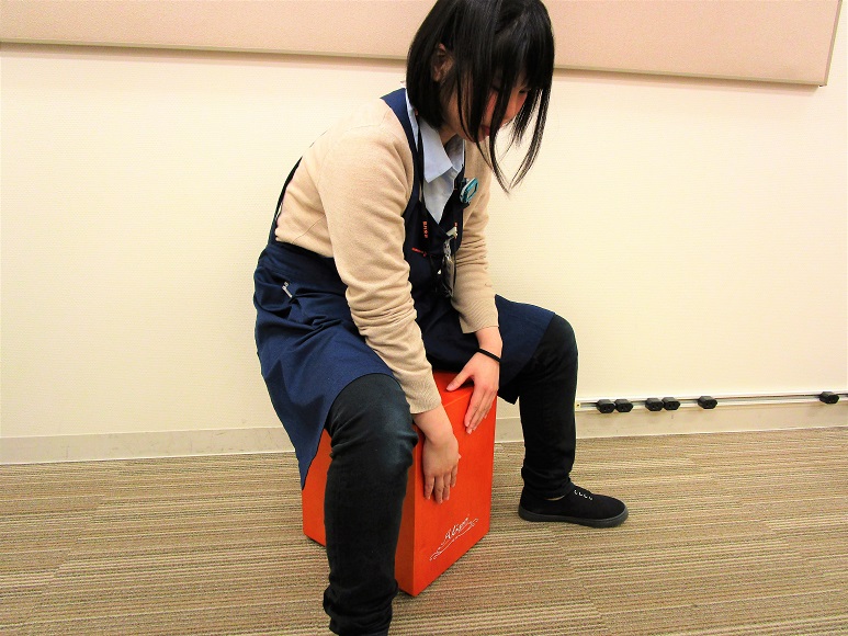 カホン】とっても可愛いアニマルミニカホン？！Alipa(アリパ