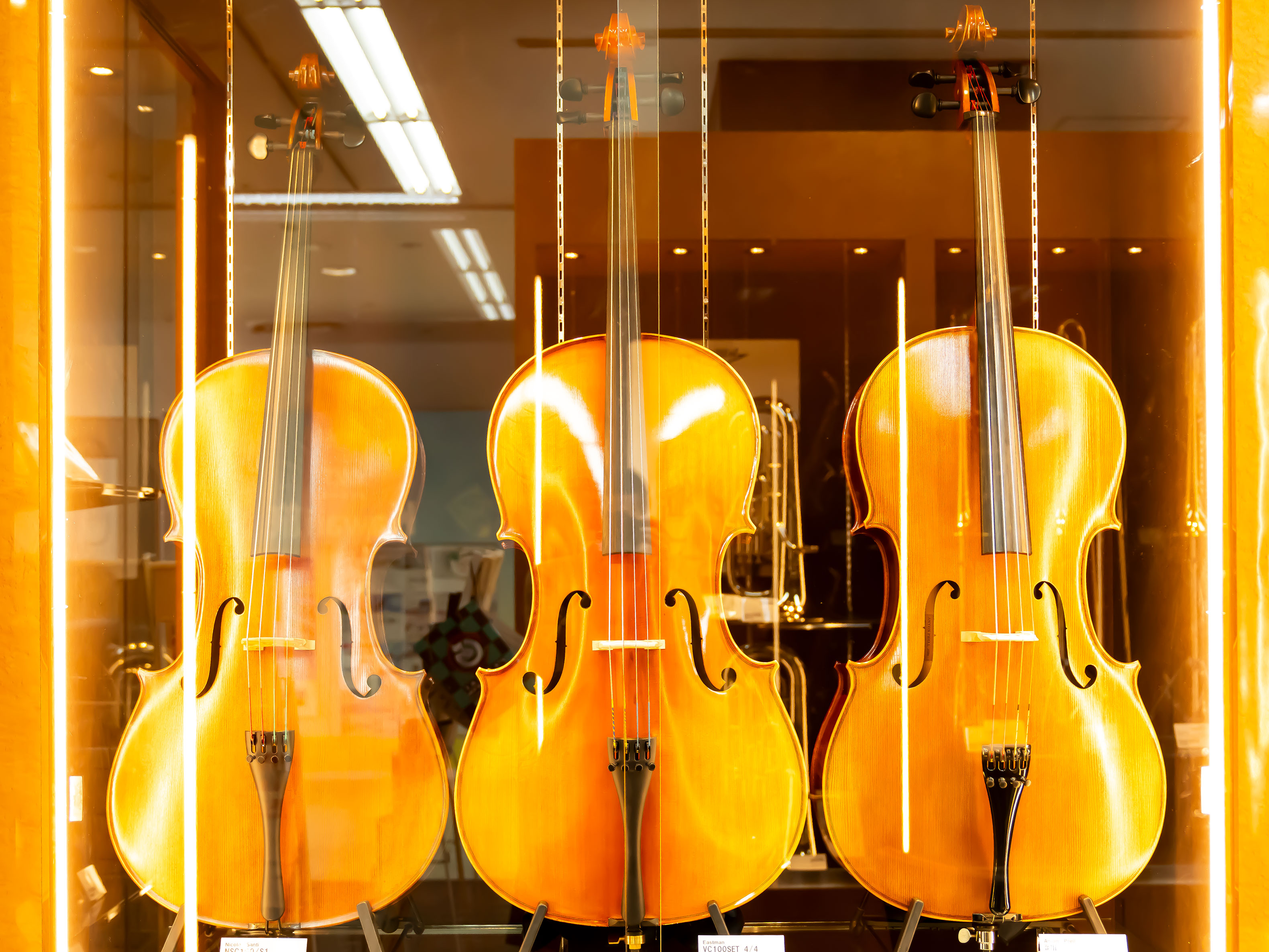 弦楽器】広島パルコ店 チェロ＆チェロ弓 展示楽器一覧(12/12更新