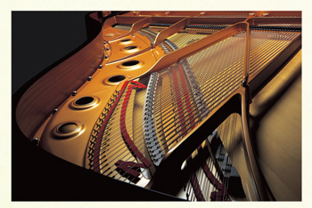 電子ピアノ】ヤマハとのコラボモデル「SCLP-6450」に新色のホワイト