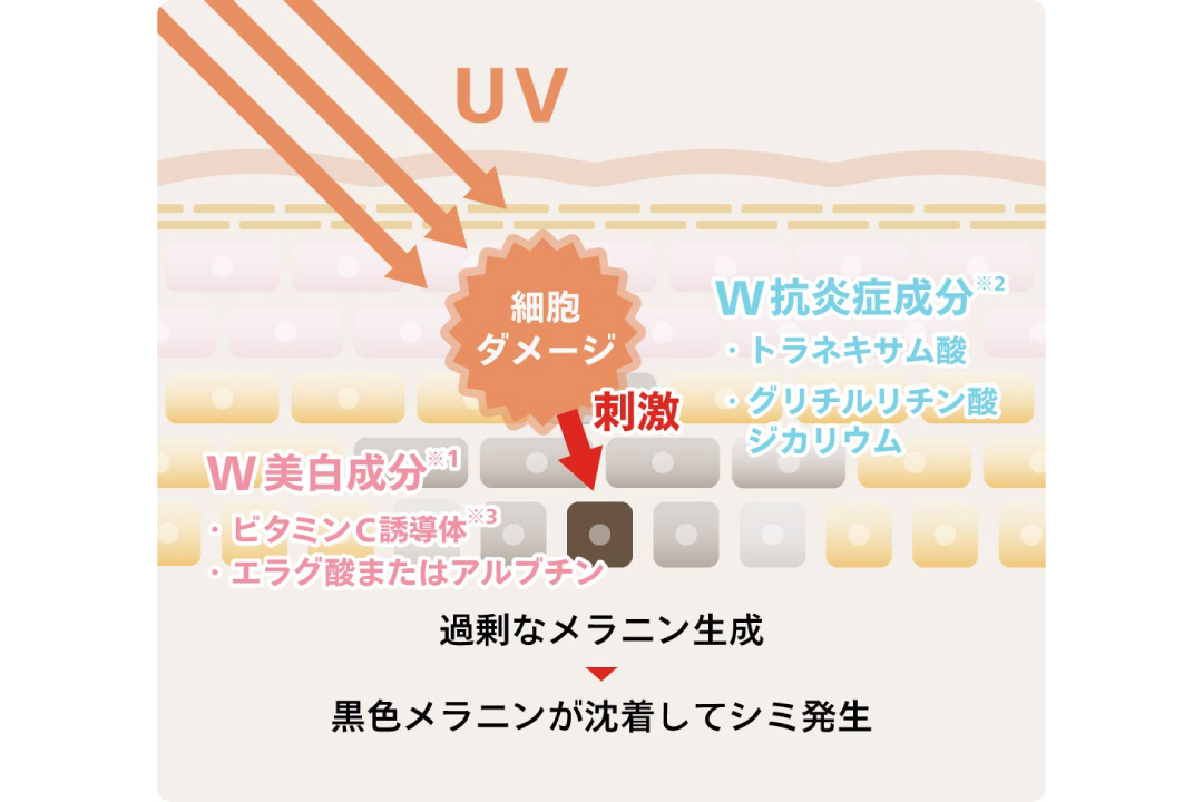 シナールエクシアシリーズ「シナールエクシア スタンダードケアセット」