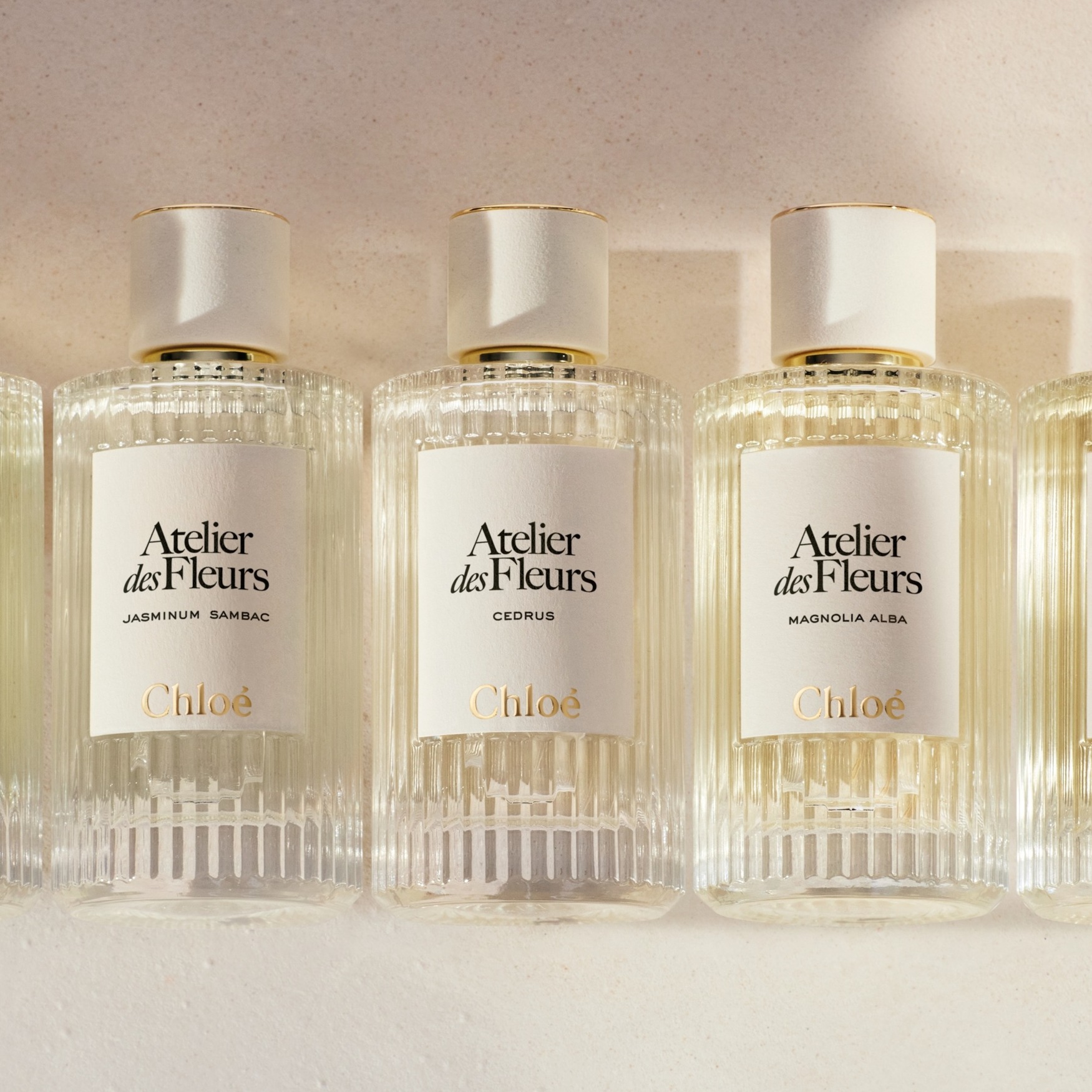 Chloé Atelier des Fleurs Cedrus Eau de Parfum | Space NK