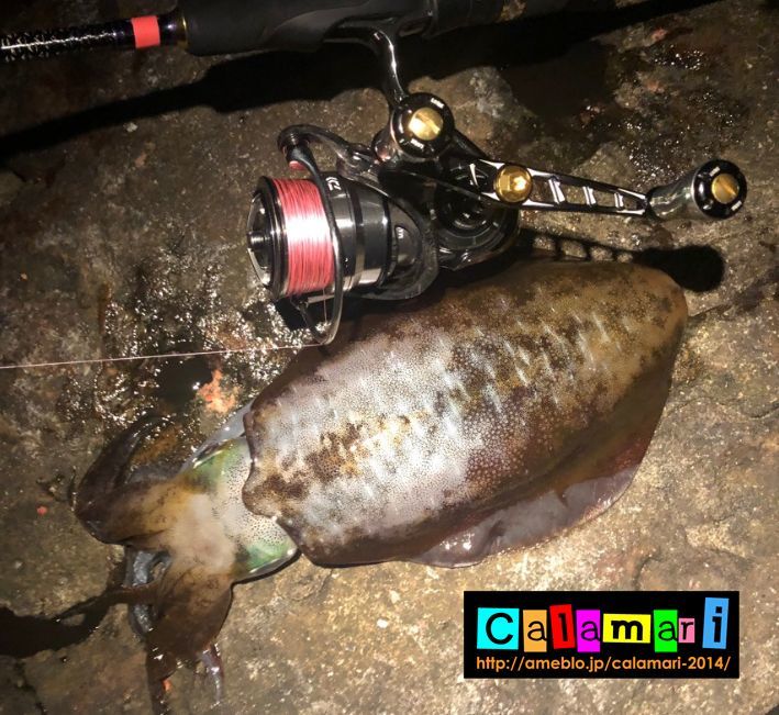 スクマニ X8-PE ピンク4m×SS1m 0.6-200m - エギングショップ SQUID MANIA