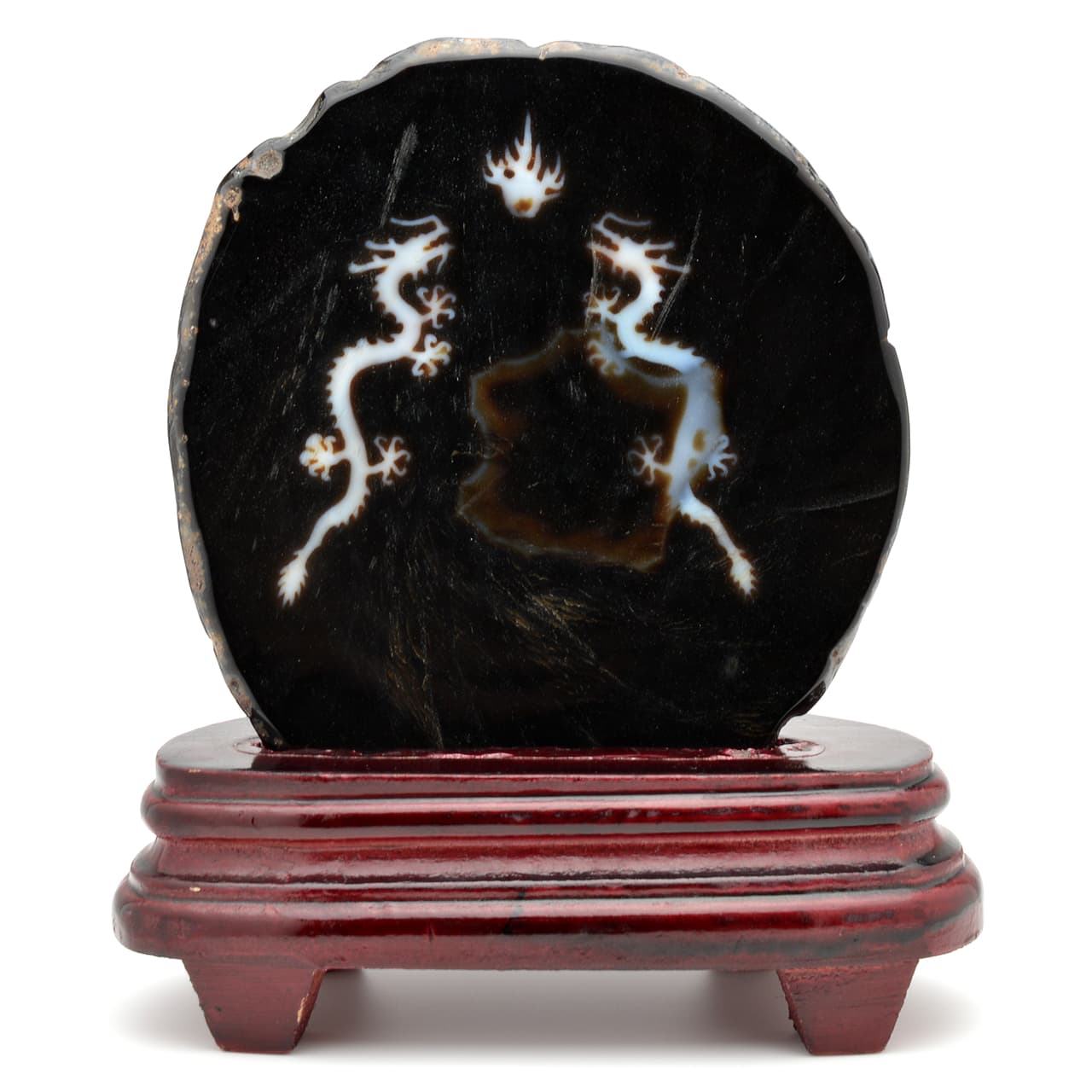 皇帝龍天珠(龍神天珠)五本爪 板状タイプ - 約13.5cm【台座付