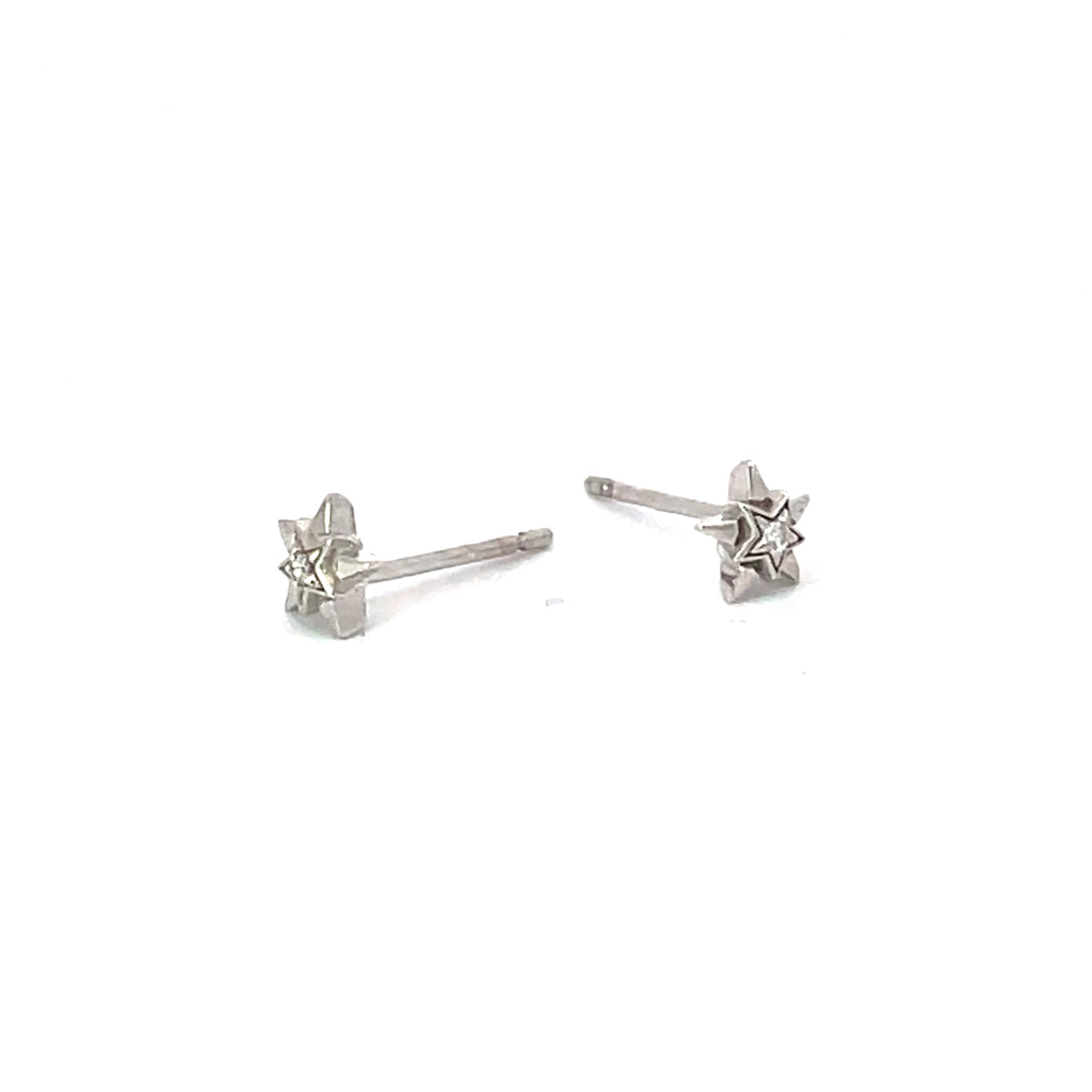 DIAMOND STAR PIERCED EARRINGS(2JP0933)K10 ピアス｜スタージュエリー
