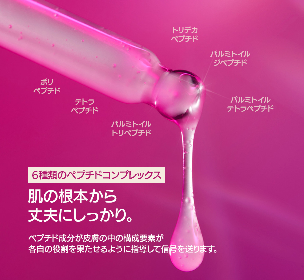 プロコラーゲン マルチペプチド ブースター | ポーラチョイス公式