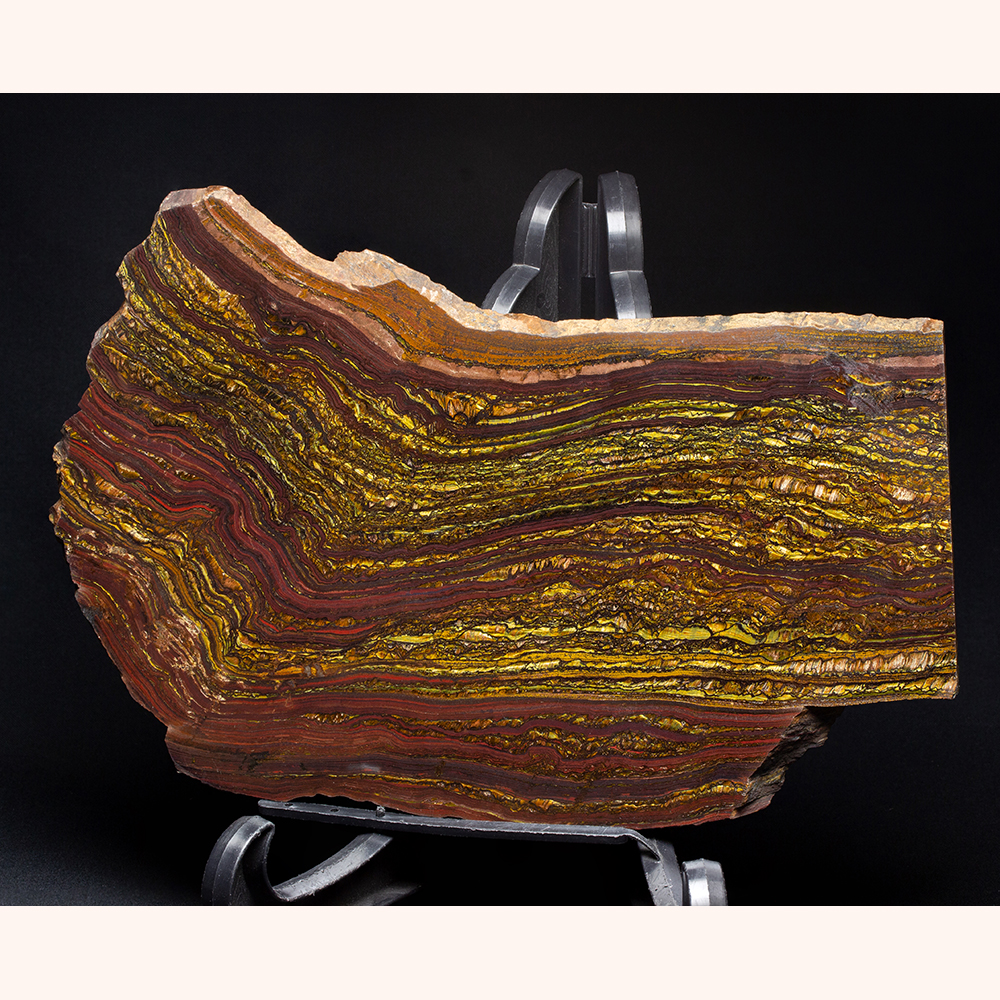 石の上に3ヶ月 石の上に3ヶ月 石の上に3ヶ月 石の上に3ヶ月 Z Chaser