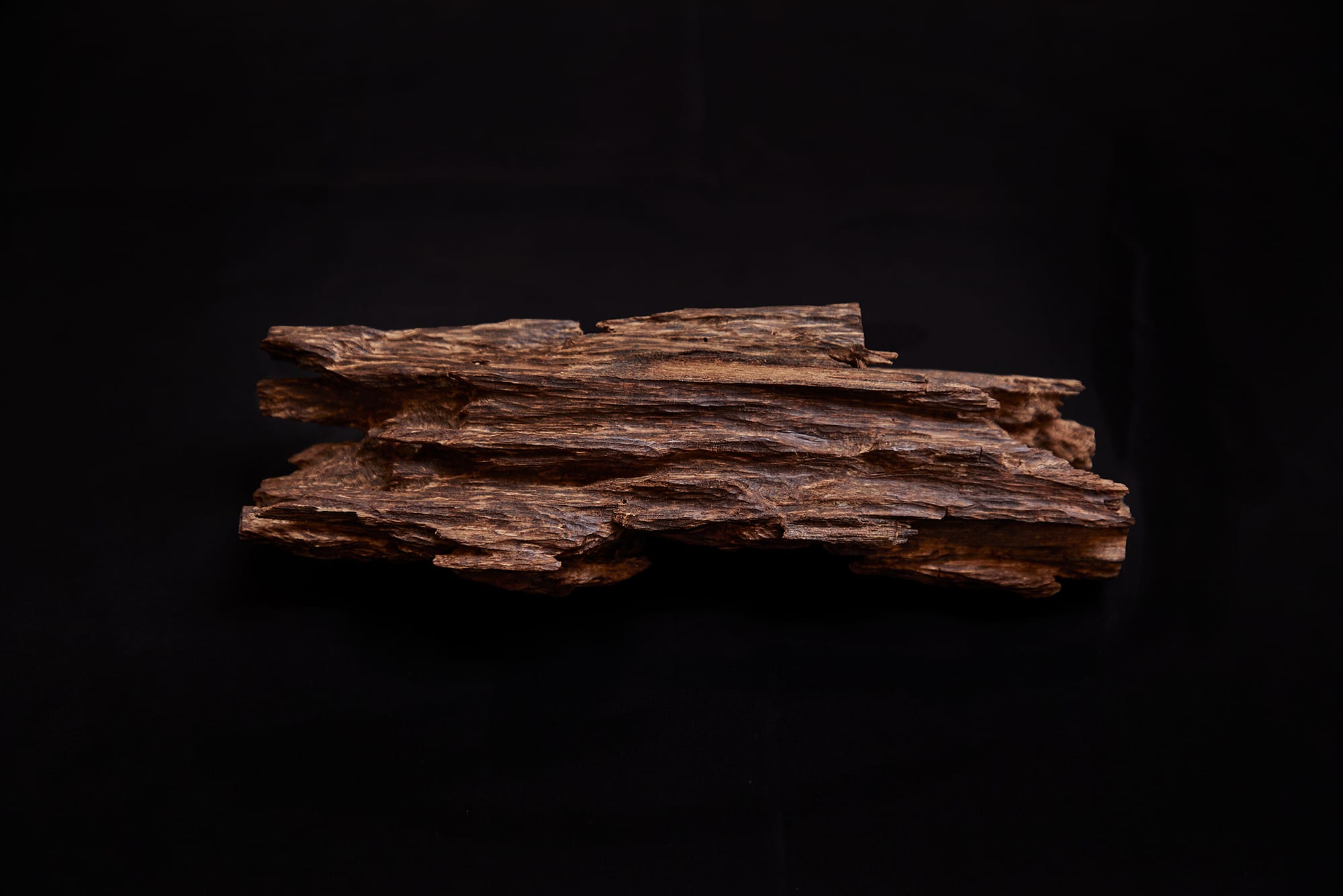 志野流香道若宗匠 蜂谷宗苾が語る、受け継がれる香道の魅力と日本の