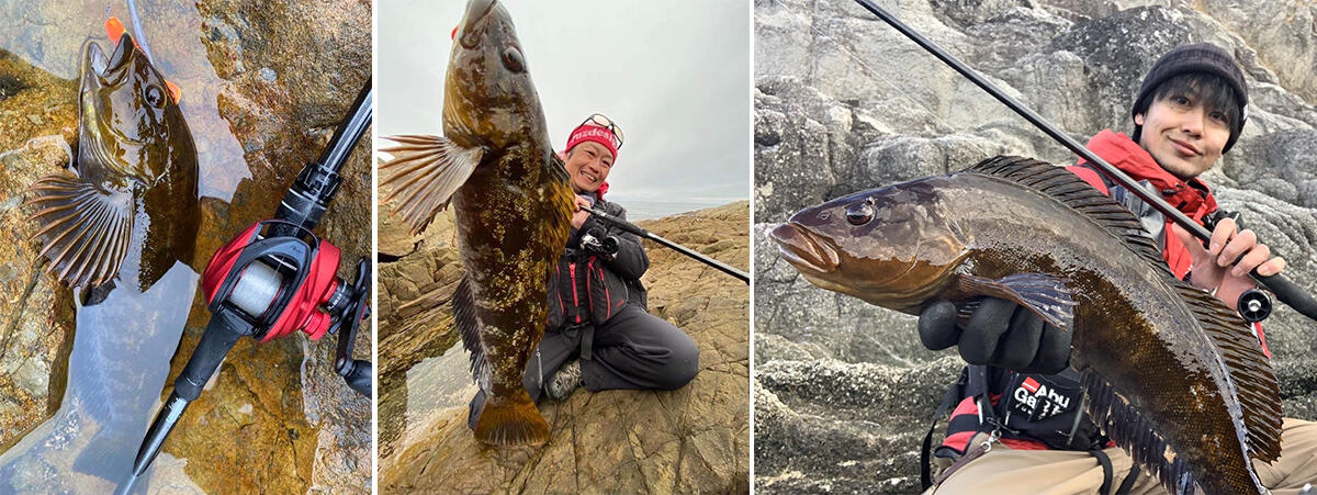 SaltyStage KR-X Prototype RockFish(ソルティーステージ プロトタイプ