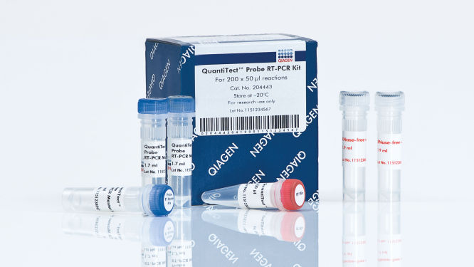 QuantiTect RT-PCR Kit