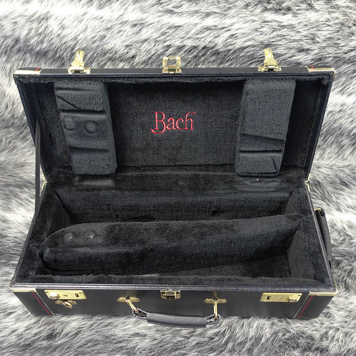 XO トランペット RV-GB 美品 即戦力Bachダブルケース XO トランペット RV-GB 美品 即戦力Bachダブルケース XO トランペット