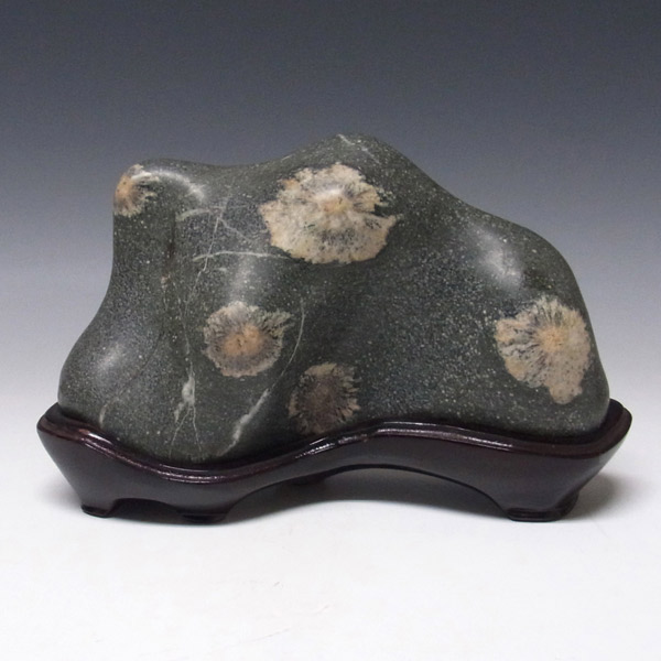 岡山のパワーストーン、風水・開運グッズのお店 龍祥本舗 / 菊花石 2.3