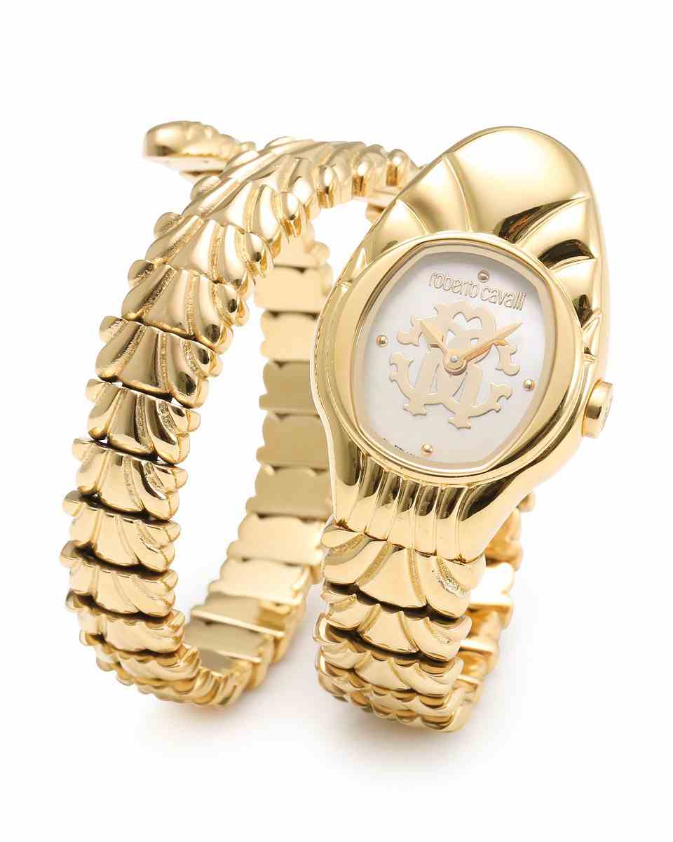 ロベルトカヴァリ バイ フランクミュラー RV1L115M0031 | WATCH WORLD