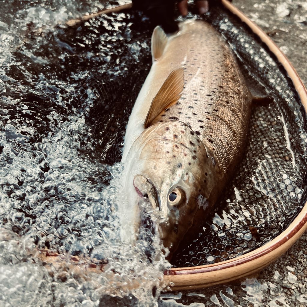 スタッフ釣行記 ” 野良だより ”vol.4～中禅寺湖｜アウトドアライフ
