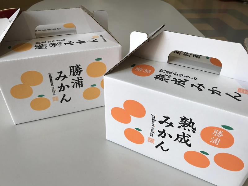 みかん箱3箱分ぱんぱん詰めます！ 松 40cm〜目安 みかん箱3箱分 松40cm