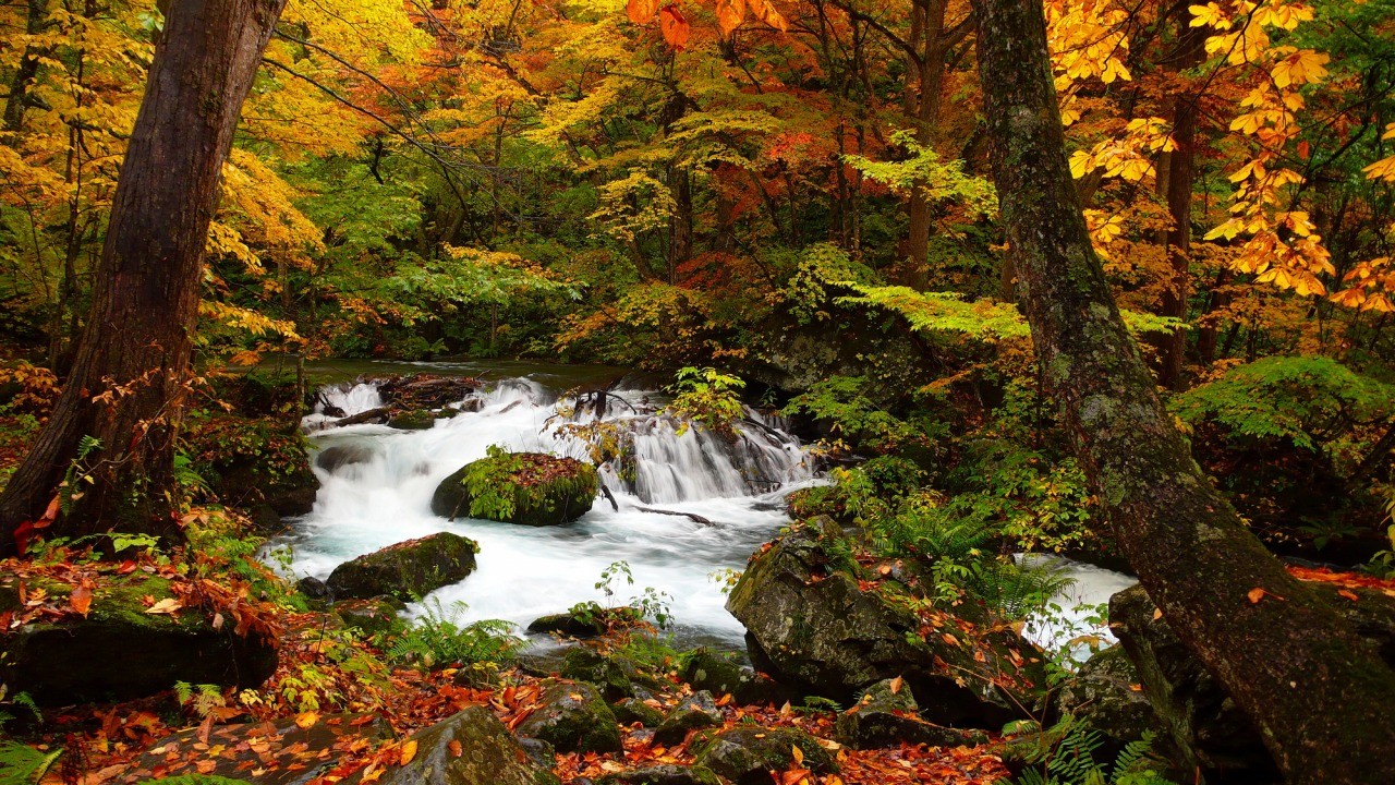 奥入瀬 森谷繁 渓響