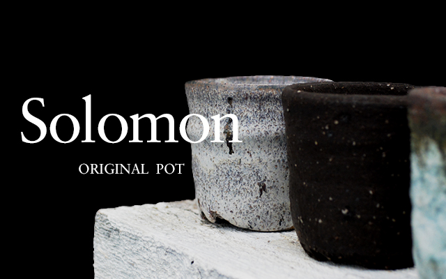 ORIGINAL POT “Solomon” | 多肉植物・特別な鉢の販売 | トーキー | TOKY