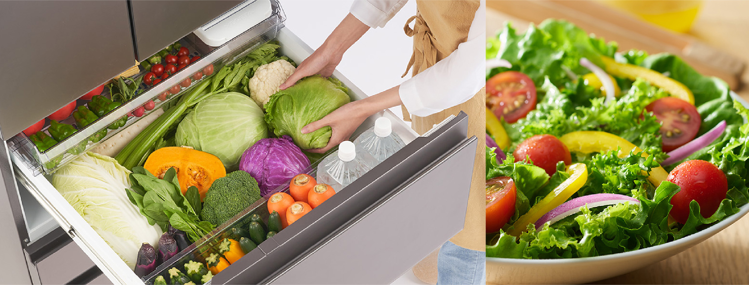 もっと潤う 摘みたて野菜室｜商品特長｜冷蔵庫｜東芝ライフスタイル