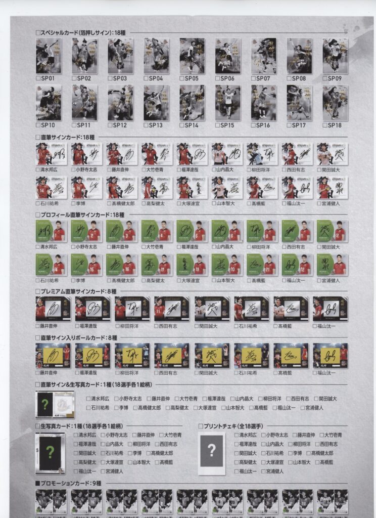 プロデュース216 2021 全日本男子バレーボール 『龍神NIPPON』【製品