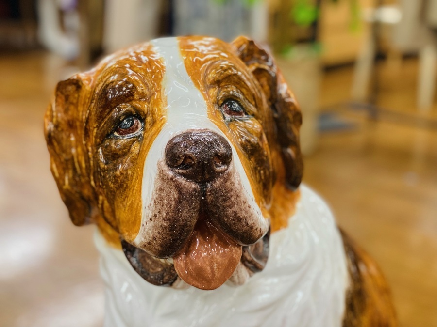 セントバーナード犬の置物が入荷致しました！｜2022年02月09日