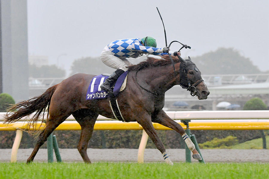NHKマイルC】シャンパンカラーが優勝！波乱を呼んだ16年ぶりの雨 内田