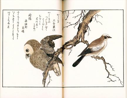 百千鳥狂歌合 – 芸艸堂