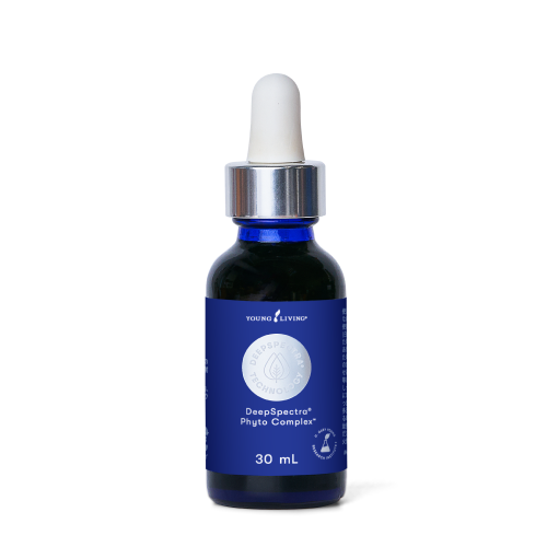 サイバーマンデーセール｜4日間限定！今年最後のビッグセール