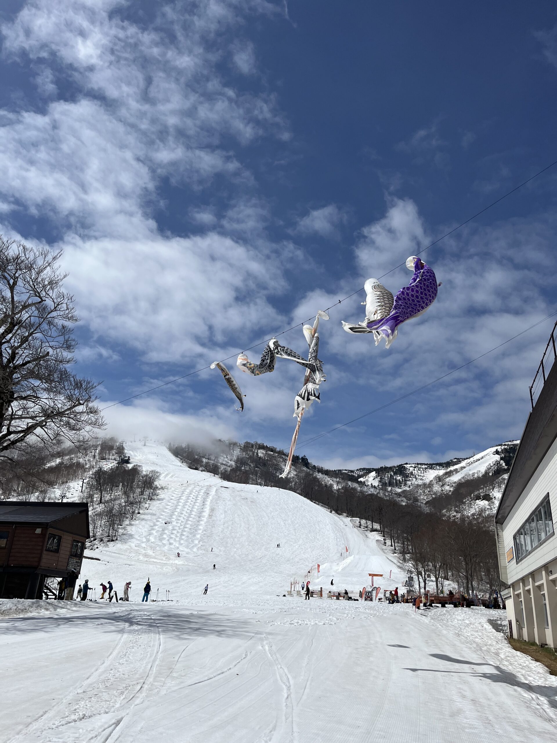 滑り納めはGWのかぐらへ♪ | ロッヂ ヤングメイト