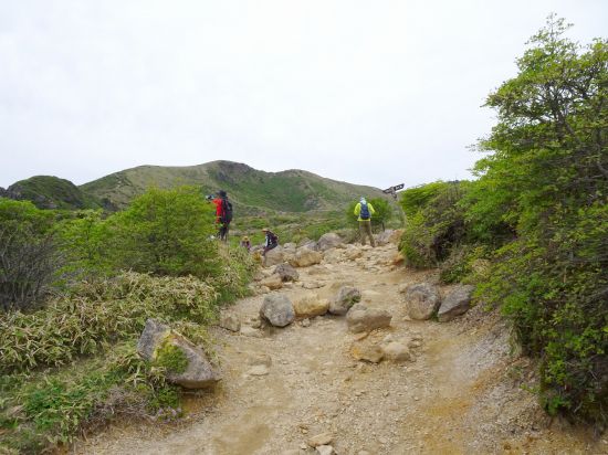 くじゅう 星生山（よしだっちの登山日記）牧ノ戸峠～星生山～沓掛山