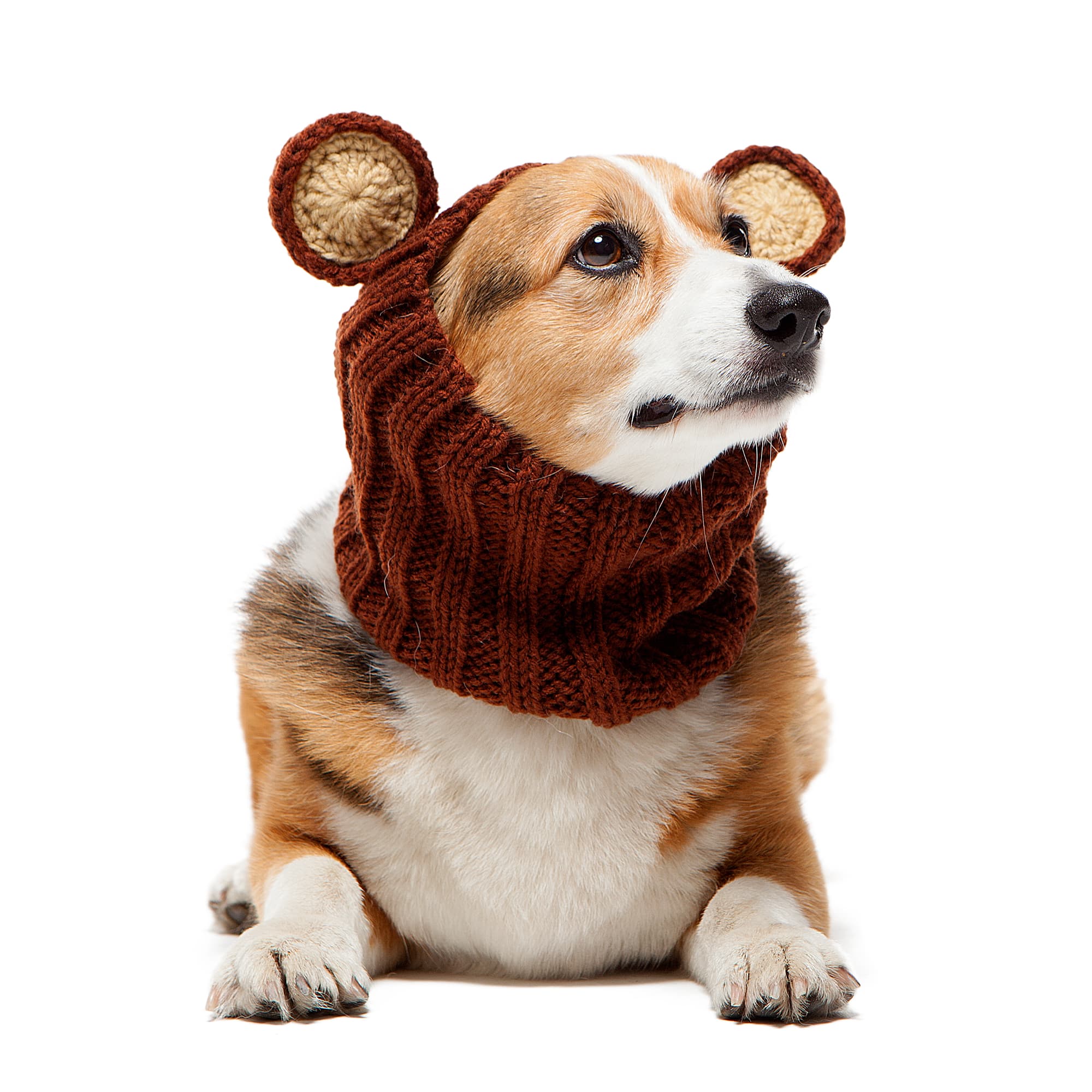 Grizzly Bear Zoo Snood - The Viral Cute Crochet Dog Snood Costume