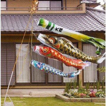 ベランダ用鯉のぼり＞金箔青海波鯉万能スタンドセット 1.5m/2m 名