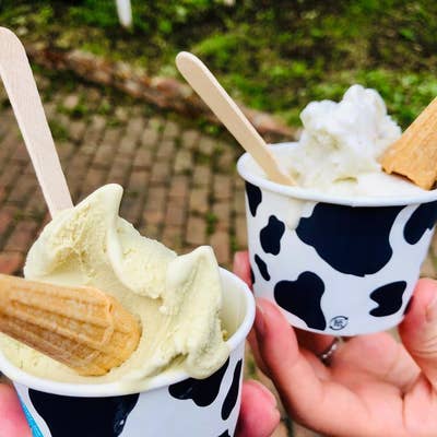 icecreamfactory PiPi（アイスクリームファクトリー ピピ）(【旧店名