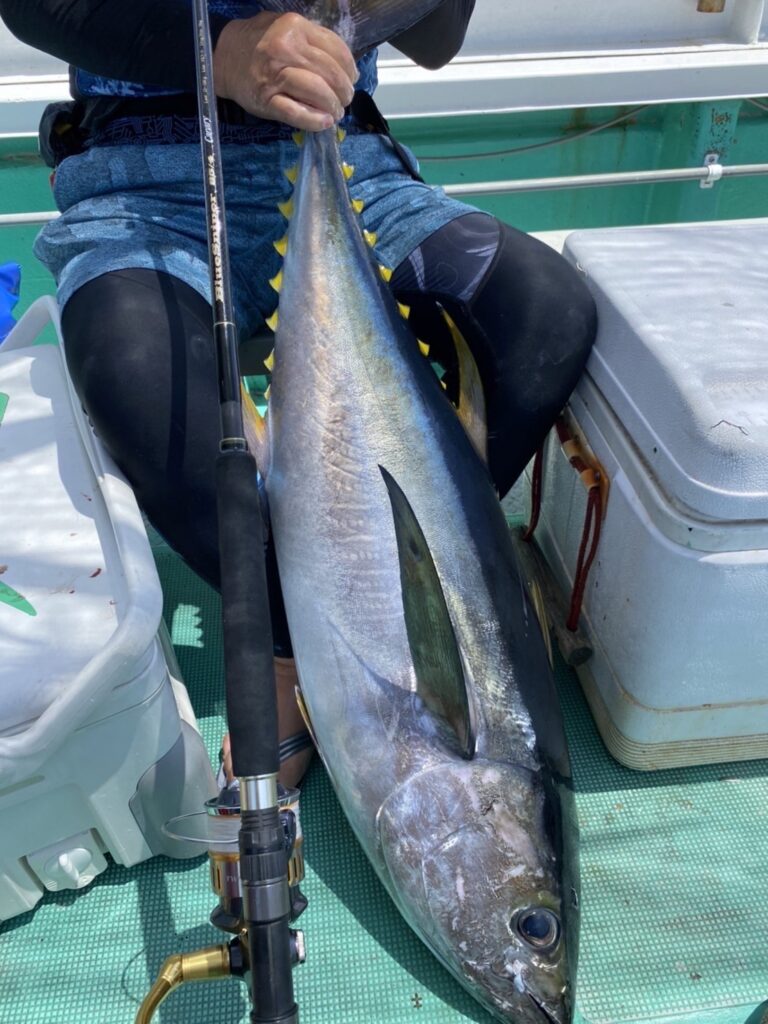 東京都】キハダマグロ BlueSniper 85/4 Canary | YAMAGA BlanksYAMAGA