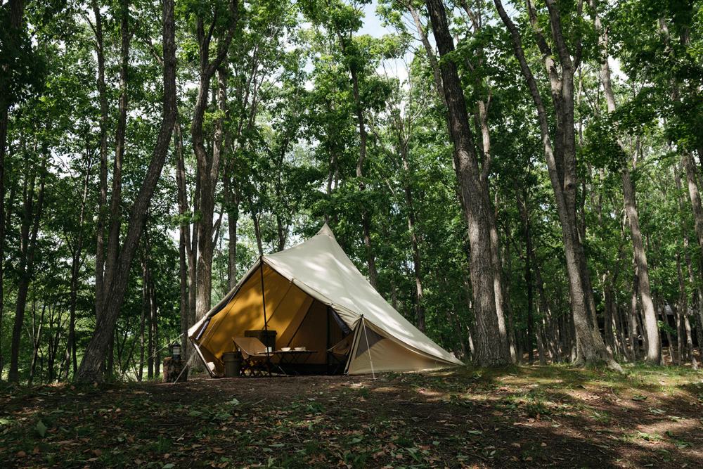 サバティカル モーニンググローリーTC】スタイリッシュなシェルター