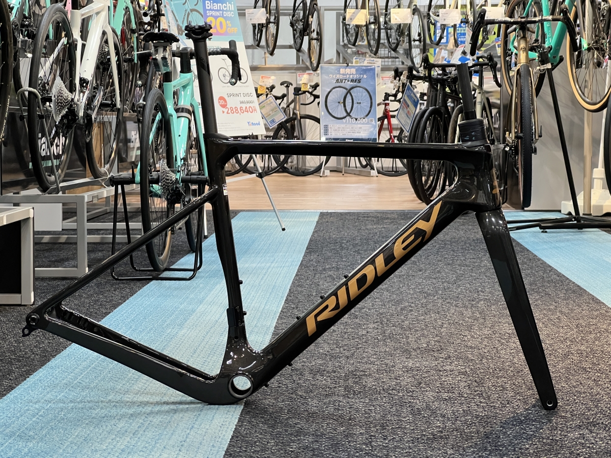 RIDLEY | 九州で自転車をお探しならY's Road福岡天神店