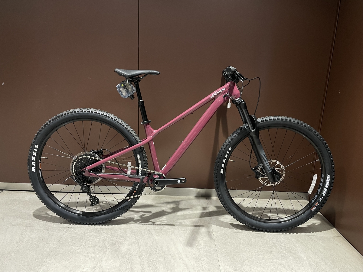 初めてでも安心！手軽に下れる楽しさとハードテイルならではのシンプル