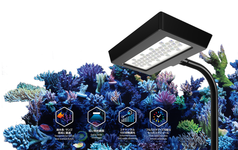 ZOOX Reef nano 3 – ZOOX