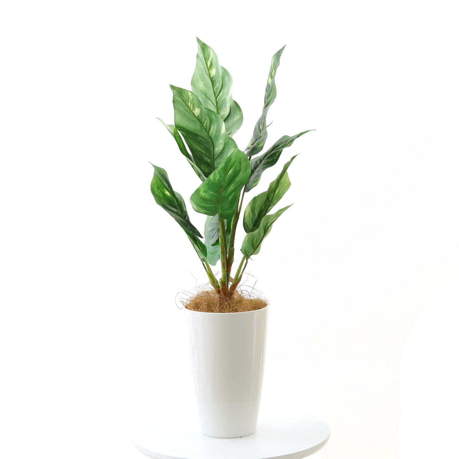 No93691 プレミアム光触媒フェイクグリーン 「つややかな葉 × 柔らかな