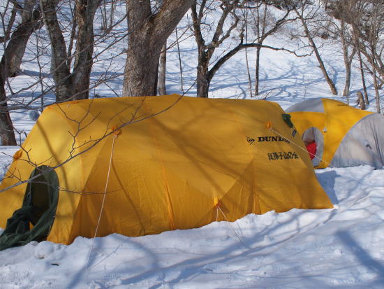ダンロップV型テントの組み立て