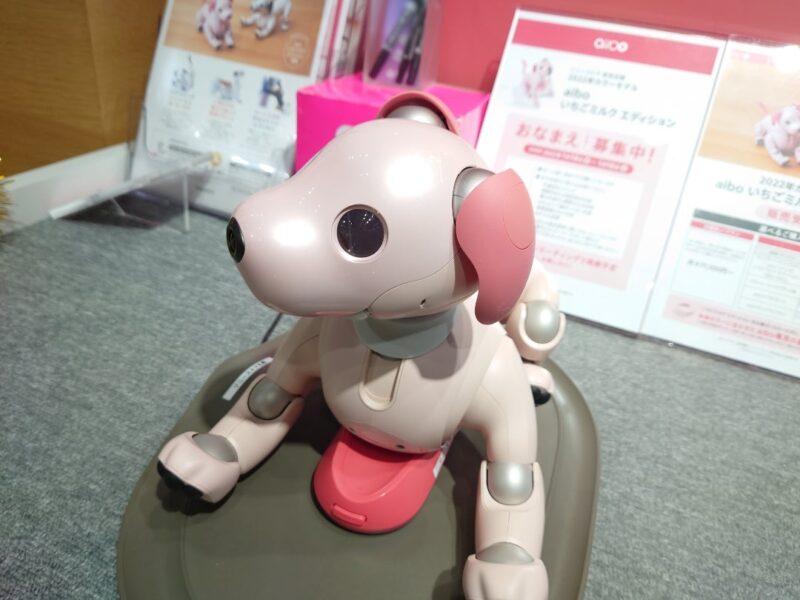 いちごミルクちゃんに会ってきました | My story with aibo～私とaibo