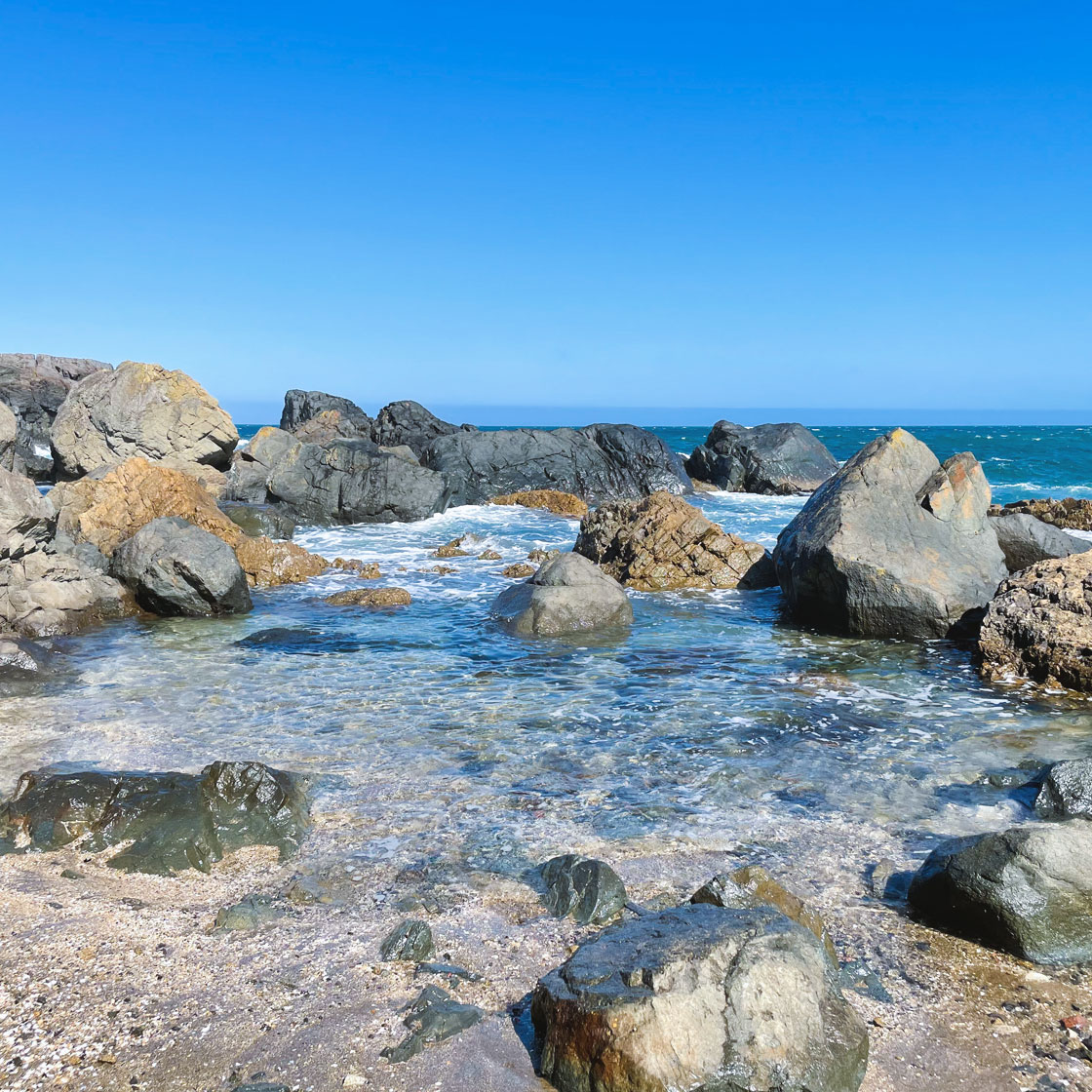 地球の美しさを教える” 名勝・種差海岸 - AOMORI GOKAN 5館が五感を