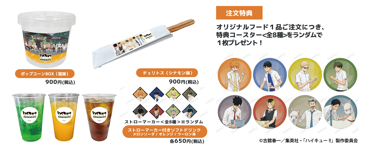 ハイキュー‼︎ 特別前売券 終わりと始まり 当時物 レア 使用済み